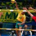 vôlei brasil