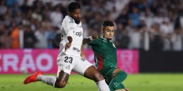 Palmeiras