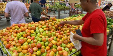 alimentos