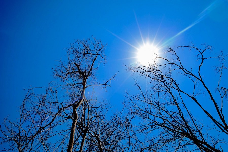calor