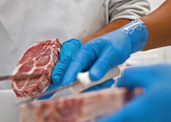 carne