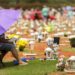 Zumbi, Finados e Proclamação: confira feriados nacionais de novembro