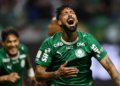 palmeiras