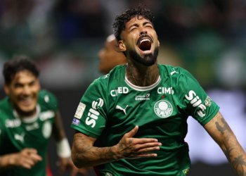 palmeiras