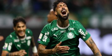 palmeiras