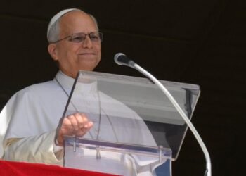 papa